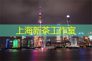 上海新茶网：上海浦东.PARK699（金隆大厦）开发商