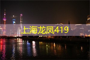 上海品茶网：夜上海，体验森林与都市在黑夜中的碰撞