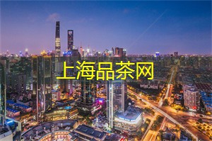 上海花千坊：上海论坛奇妙之旅：体验未知、触摸未来！